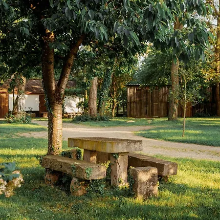 Chez Bernadette Alsace Prox Route Des Vins Et Europa Park Rulantica *