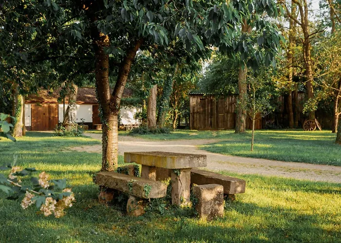 Chez Bernadette Alsace Prox Route Des Vins Et Europa Park Rulantica *