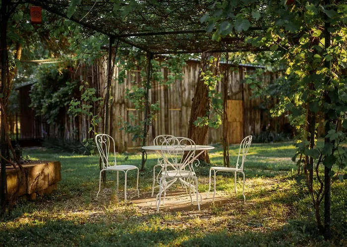 Chez Bernadette Alsace Prox Route Des Vins Et Europa Park Rulantica Vakantiehuis