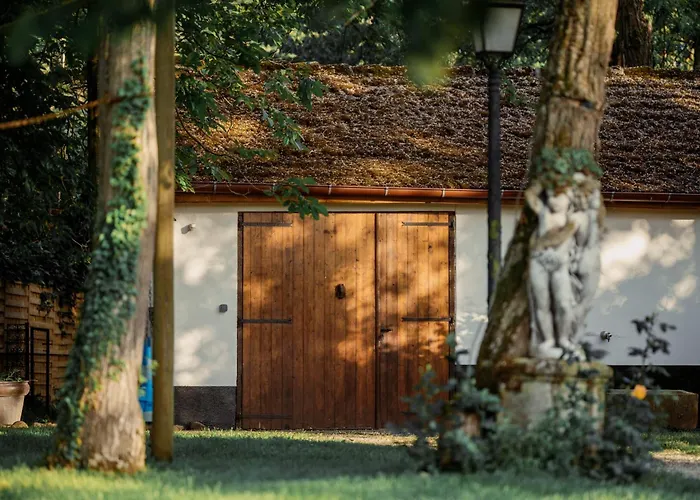 Chez Bernadette Alsace Prox Route Des Vins Et Europa Park Rulantica